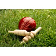 Cricket