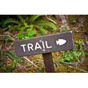 Trail Running Footwear